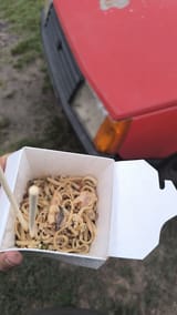 Chinkslop