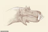 All Yesterdays Hippo