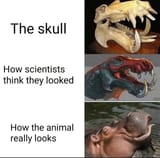 1650391209605