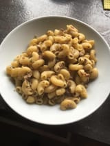 Hascheehörnchen