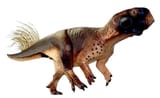 psittacosaurus
