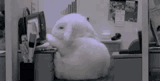 WageBunny