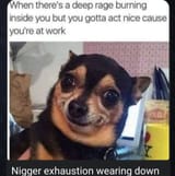 d697f60d3c5a4b21