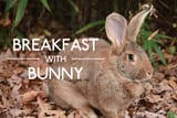 BUNDAYBREAKFAST