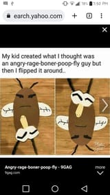AngryPoopFly