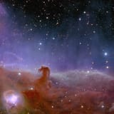Euclid-ERO-Horsehead2