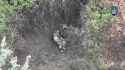 2025-08-03__madyar_edit_thumb.jpg