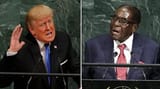 trump mugabe