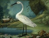 Cristóbal Vilella (Palma de Malloca, Province of Balearic Islands 1742-1803 ibid.) Heron of Majorca in his nest and mollusks - oil on canvas