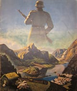 1753845757395254 NORGE VRIL