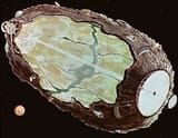 hollow asteroid habitat