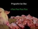 P R I G O V E R