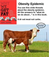 Why We Get Fat And What to Do About It