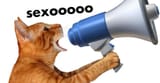 sexo