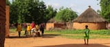niger
