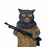 ira