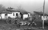 Ferentari Mahala 1965