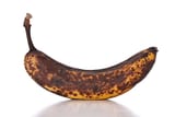 treemonkyfoodspecial