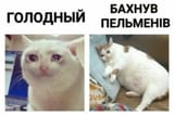 629fd22e3f19b3c94a0f7e42552fd5f2