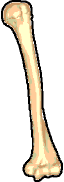 something of a humerus spin here if you&#039;re a bit zany like myself then you should enjoy this because we like to have fun we really do