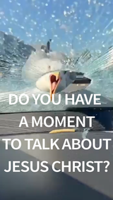 1754255693279