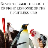 1718660333838545