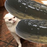 1613141780904