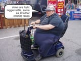 average-amerimutt
