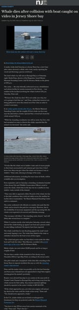 Screenshot 2025-08-03 at 19-22-23 Whale dies after coll[...]