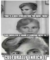 sure_would_be_a_shame_if_culturally_enriched_barbre_spectre