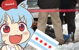 awoo chicago dead nigger