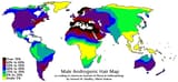 male androgenic hair map world