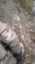 ziggers_0010225_thumb.jpg