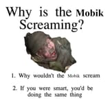 screaming_mobik
