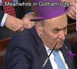 Schumer is not a human
