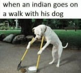 pajeets