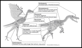 figure1
