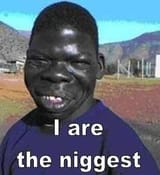 Niggest