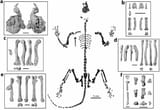 41598_2025_90203_Fig1_HTML[1]
