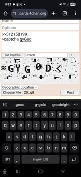 Screenshot_20250803_172550_Chrome