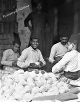 palestine Oranges being packed in Jaffa before being exported to Europe in 1932.