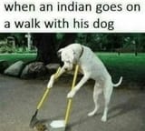 street-shitter-v0-q4es0pp6nxhb1-1384109460