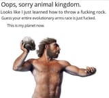 rockape