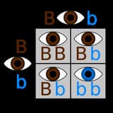 1384207984