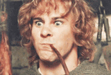 pippin-and-merry