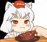 awoosteak9