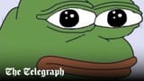pepe