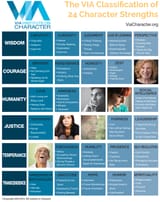 24 Character Strengths and Virtues 