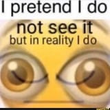 I Pretend I Do Not See It