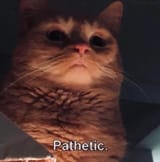 1754281937111